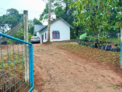 Kunchithanny Ski Chalet | Munnar Hills And Mist Views