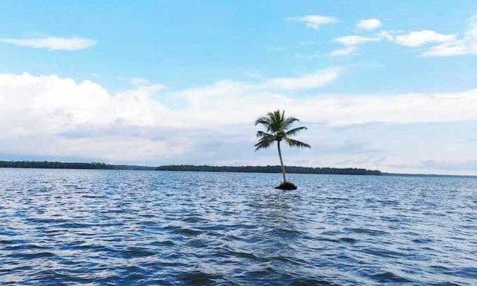 Munroe Island Bed & Breakfast | Munroe Inn Homestay.