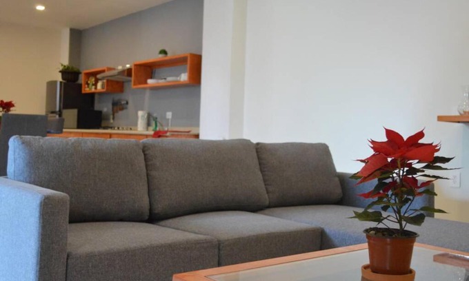 Fresnillo Apartment | Departamento Ilustre