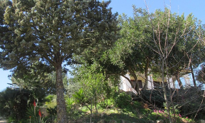 Alghero Villa | My Country House - Tranquility, relaxation and nature