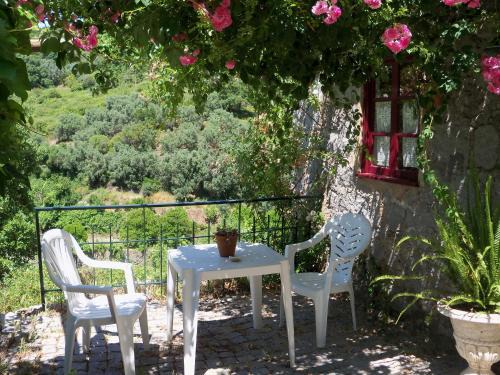 Barracao House | My Room – Villa Vina ® - TER