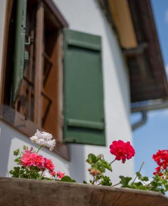 Patca Apartment | Nózsi-hegyi vendégház