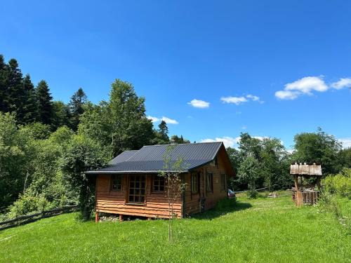 Czarna House | Nad Głuchym Potokiem