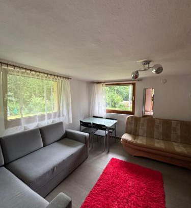 Nowy Targ Apartment | Nad potokiem