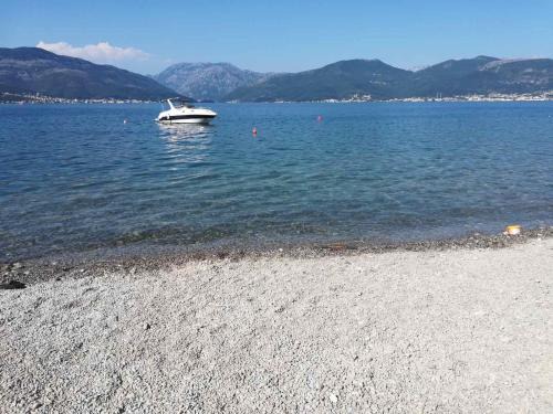 Krasici Apartment | Nadja apartman-50m od mora