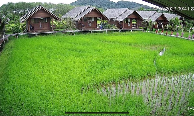 Ko Yao House | NammNatawn2