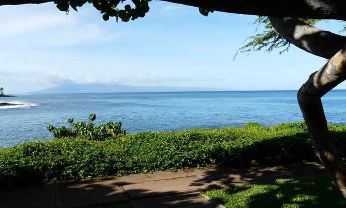 Napili Condo | Napili Point A10 - A Piece of Paradise - Swim With Turtles Just Steps Away