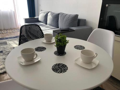 Piatra Neamt Apartment | NARCISA