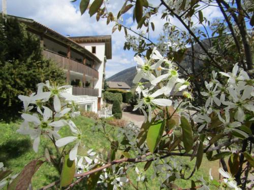 Santa Valburga Hotel | Natur Pur Hotel Unterpichl