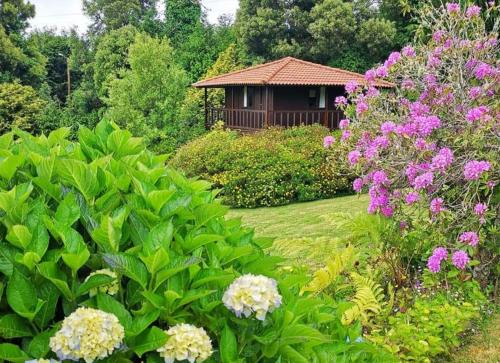 Santo da Serra Other | Nature Cabins - Santo da Serra