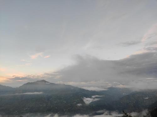 Mashobra House | Nature Heaven Homestay