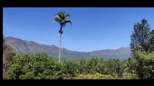 Chikkamagaluru House | Nature Inn stay
