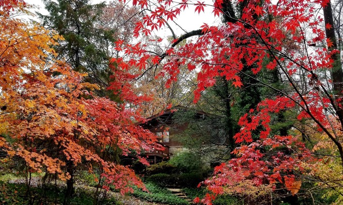 Glen Arm House | NATURE LOVERS WOODLAND RETREAT - TOWSON MD