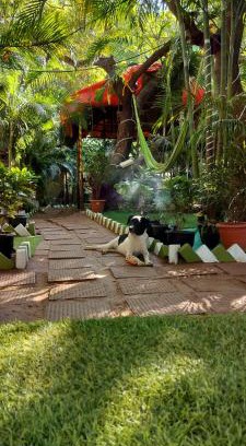Arambol Resort | Nature of Arambol