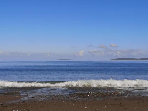 Doohooma House | Nature Retreat - Sleeps 4 & Wild Ponies