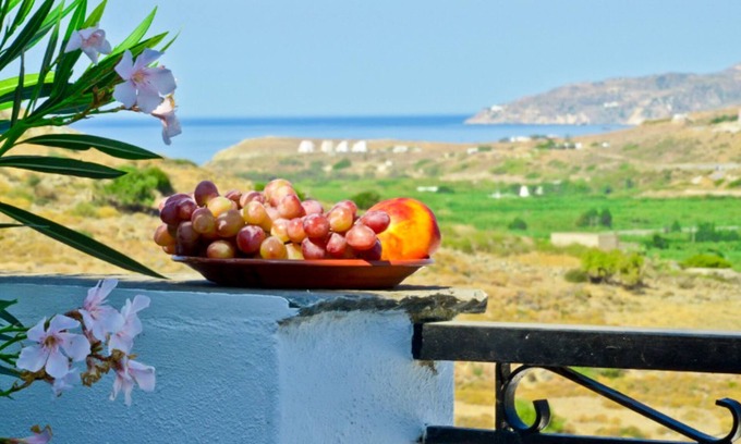 Eggares Apartment | Naxos Agrotouristic studio in a quiet village