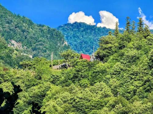 Khelvachauri Ski Chalet | Nepoka in Machakhela