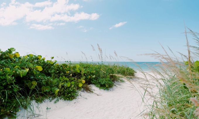 St. Petersburg - Clearwater Apartment | NEW Beautiful Beachfront Apartment with Beach & Pool