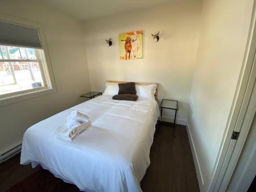 North Central Edmonton Apartment | New Dt Apartment Walk To All