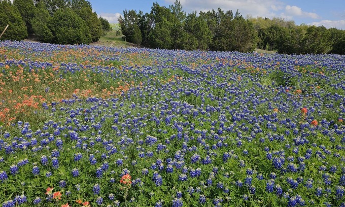Dripping Springs House | New home in Dripping Springs in the path of the Solar Eclipse with jacuzzi