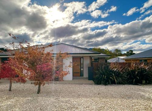 Kingston House | New Kingston Trampoline House