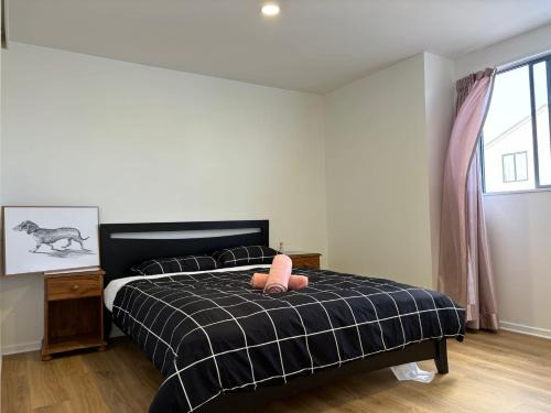 Auckland House | New Lynn Tidy House