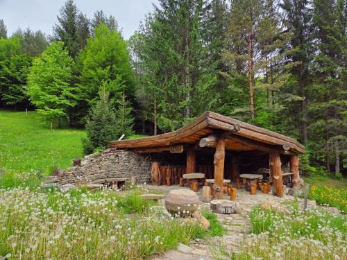 Gura Teghii Other | New Old Village