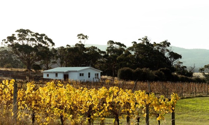 Little Swanport Apartment | *New* Pip's Place at Lisdillon Vineyard