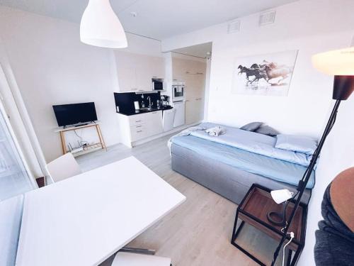 Vantaa Apartment | New Studio Furi near Airport
