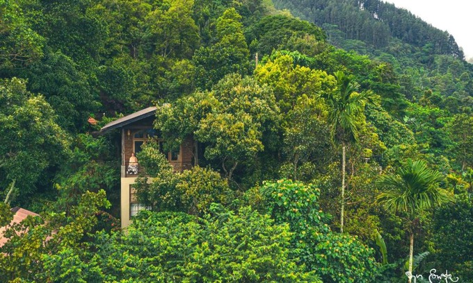 Moragolla Bed & Breakfast | New Villa - Nugaliyadda