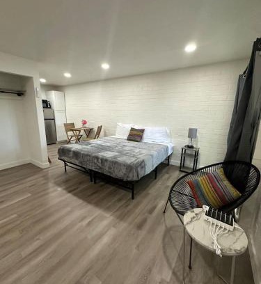 Rochester Apartment | Newly remodeled bright studio