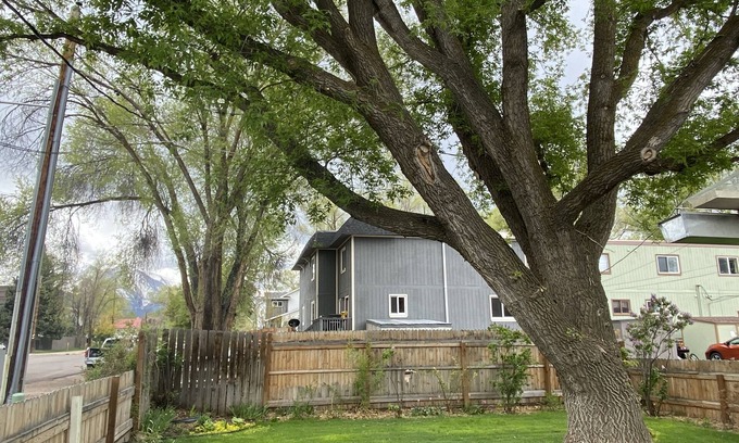 Carbondale Apartment | Newly Restored 2Bedrm, CoolCarbCrib, InTown Convenience, Fenced Yd, Dogs Welcome