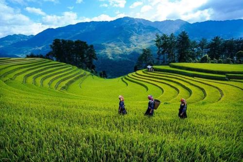 Mu Cang Chai House | Nhà nghỉ Phú Lý