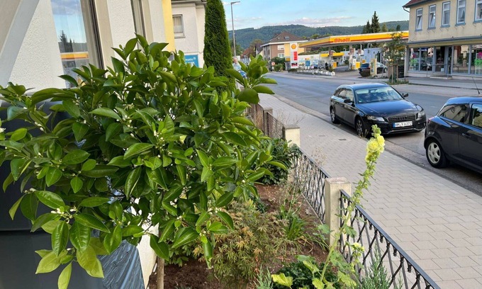 Bad Pyrmont Apartment | Nice apartment for 2 people with WIFI, TV and parking