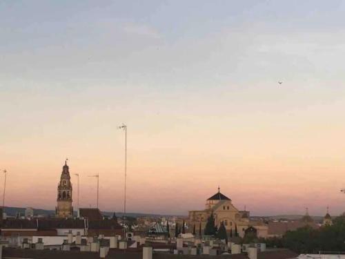 Huerta del Rey Vallellano Apartment | Nice central flat with wonderful views