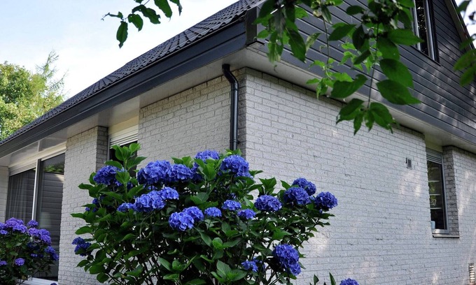 Noordwolde House | Nice house with a dishwasher, Giethoorn at 21 km