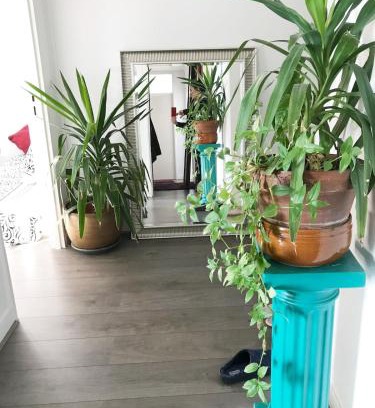 Mont-Mesly Apartment | Nice place 80m2- 2 to 8 beds- 30min from Paris 15min Aeroport Orly