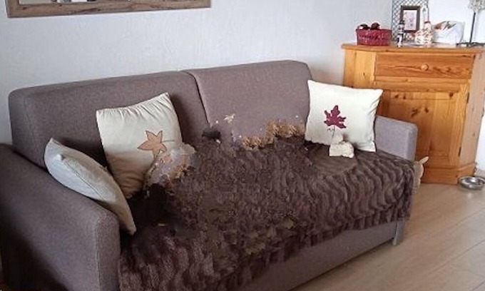 Barcelonnette Apartment | Nice studio close to the ski slopes