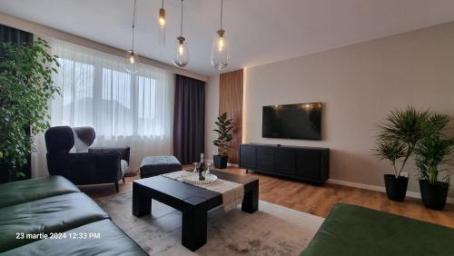 Satu Mare Apartment | Nico's stylish Apartment