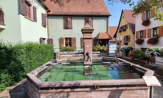 Kintzheim Apartment | Nid Douillet au Cœur du Vignoble Alsacien