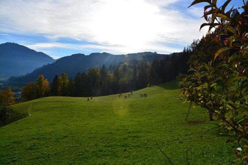Maschl Apartment | Niederstallnhof