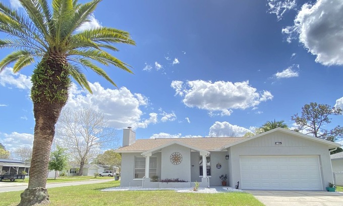 New Port Richey House | NO children under 18 or pets of any kind, including service or comfort animals.