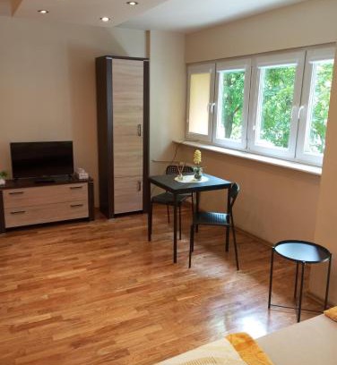 Lodz Apartment | Nocleg przy szpitalu Kopernika w Łodzi