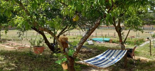 Marinha Grande Bed & Breakfast | Noctua Villam GuestHouse