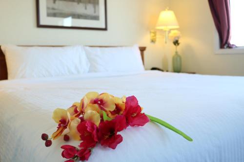 Fort McMurray Hotel | Nomad Hotel & Suites