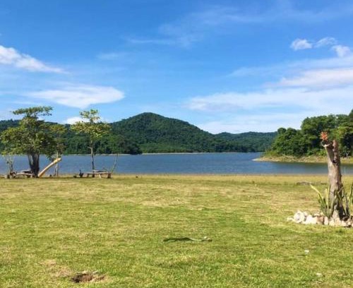Taytay Other | Nongangellakefarm