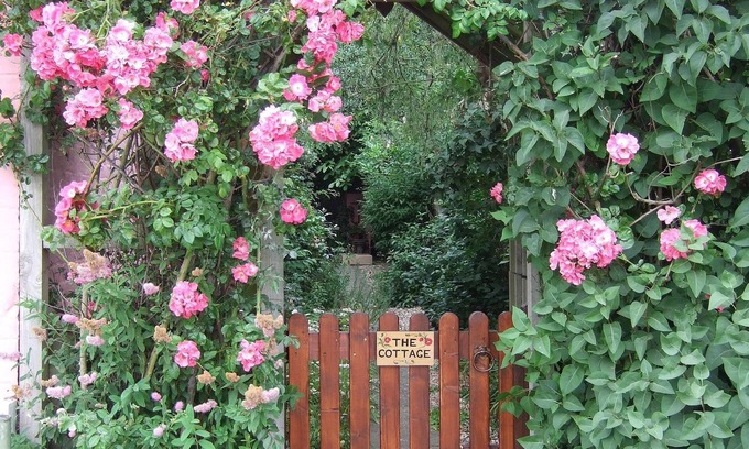 Irstead Cottage | Norfolk, Cosy Beamed Cottage Close Sandy Beaches/Broadland. Peaceful Location.