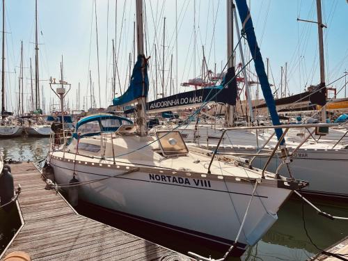 Lisbon Boat Rental | Nortada Central Boat Escape