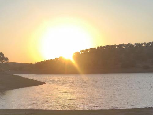 Torrao Villa | Nova Quinta Moderna TORRAMO em Oliveiras, Campo de Laranjas, na Nacional 2, Alentejo 13750 m2