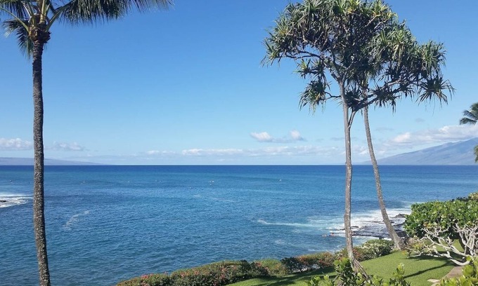 Napili Condo | NP B28 March price drop! 1BR gorgeous, private spot, full AC, well stocked